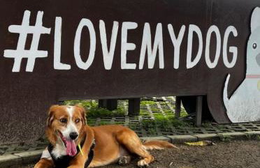 Estúdio Charmoso no Vieiralves - Foto 7