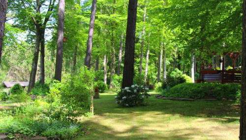 Thüringer Waldbaude - Foto 5, Garden view