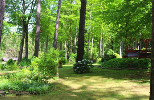 Thüringer Waldbaude - Foto 5