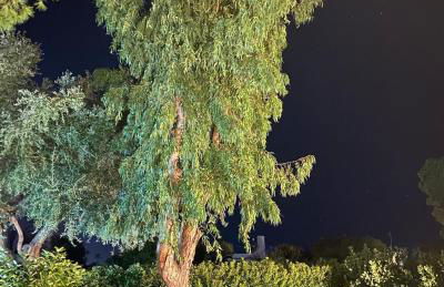 Gli Ulivi Rosamarina Ostuni - Foto 5