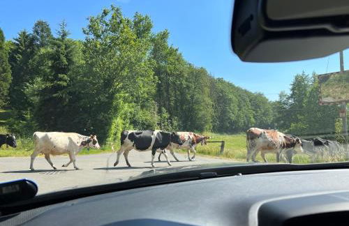 Gästehaus Sille in Morsbach - Holpe - Foto 31