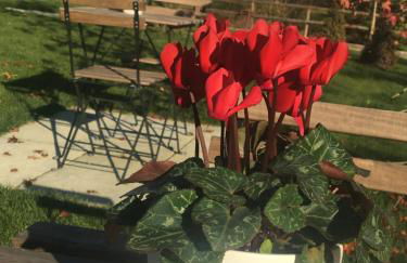 Agriturismo da Mamma - Foto 57