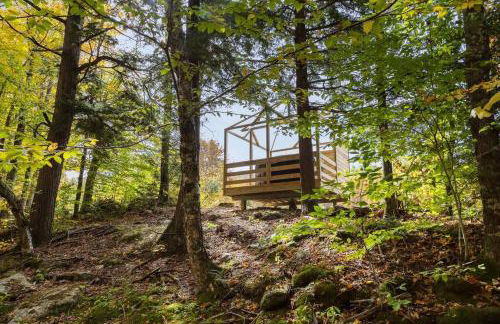 Fox Den Tiny House w/hot tub 1min to Smuggs - Foto 27