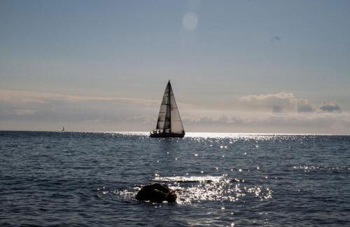 L' Elicriso - Foto 31