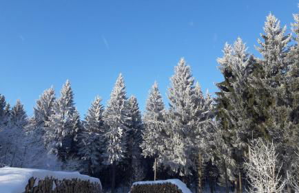 Ferienwohnung Flöhatalblick - Foto 35