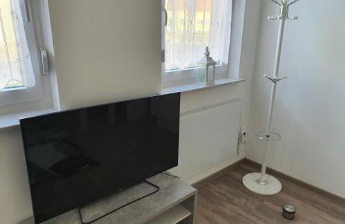 modern und mittendrin, das ist Monty - Foto 3