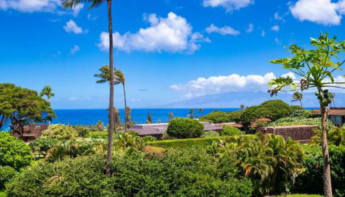 Kaanapali Plantation 54 - Photo 5