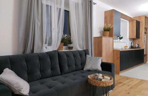 nowy Apartament Willa Sowia z widokiem na Śnieżnik - Foto 7