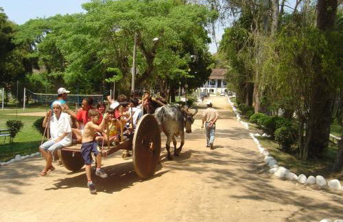 Hotel Fazenda Villa-Forte - Photo 20