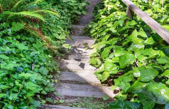 Cozy Riverfront Cabin Just Steps to the Russian River with Beach Access & Wood Stove - Foto 49