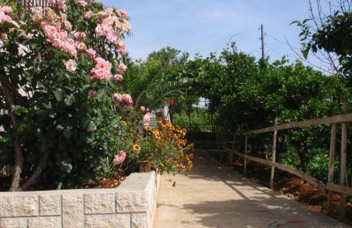 Apartments Ivan Sea View in Peaceful Lun - Photo 43