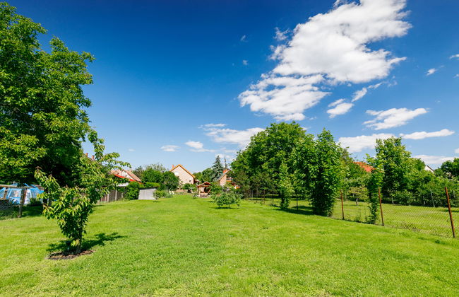 4 bedroom House in Kőröshegy with garden and terrace - Photo 4