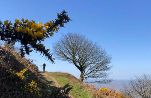 Barton Cottage - Foto 35