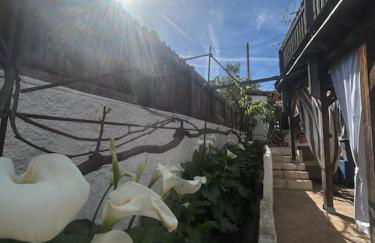 Giardino Zen a due passi dal mar - Foto 4