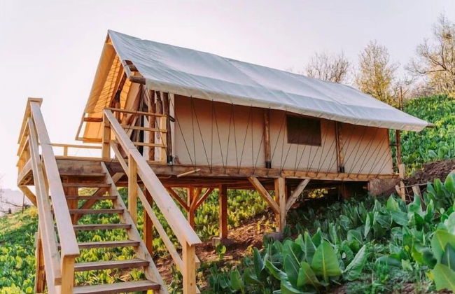 Gora Glamping - Photo 1