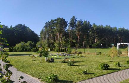 Domki pod Łebą - Photo 12