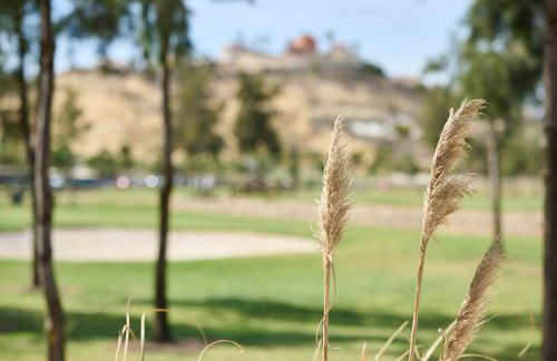 Casa Buena Vista Rojales - Photo 15