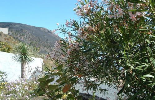 Casa Los Viñedos B - Foto 31