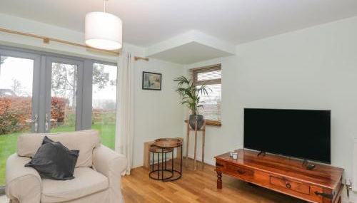 Little Foxes - Photo 5