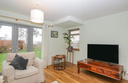 Little Foxes - Photo 5