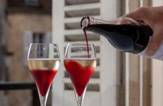 Le Nid - hébergement cosy - Foto 38