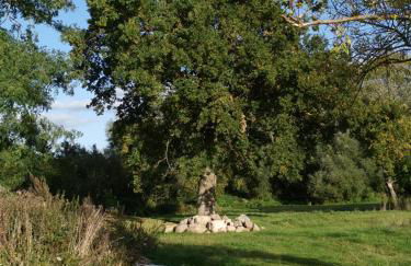 Gutshaus KVH FeWo Brook - Photo 19