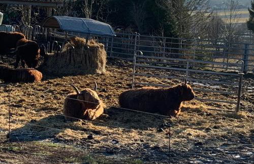 Ferienwohnung Fichtelzauber - Foto 40