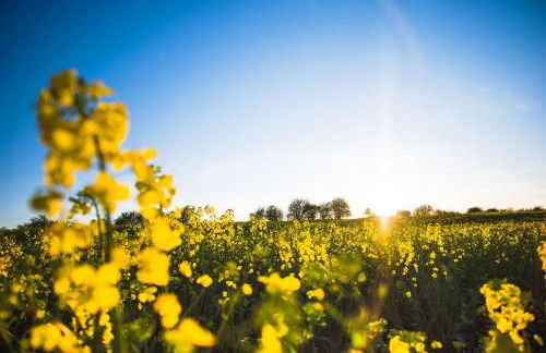 Heimathafen Langballigholz - Foto 30