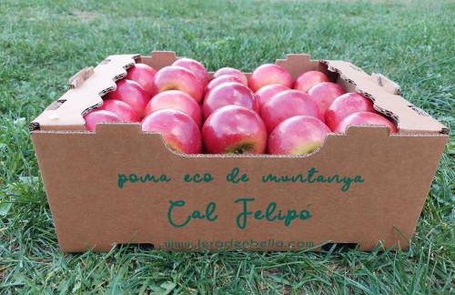 Casa Rural Rebost - Foto 57