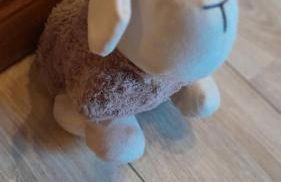 Ferienwohnung "Bine" - Foto 24