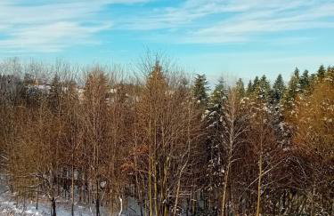 Osada Głębuczek - apartamenty w Beskidach - Foto 6