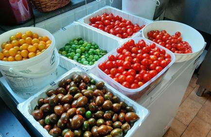 Bio Agriturismo Valle dei Calanchi - Foto 129