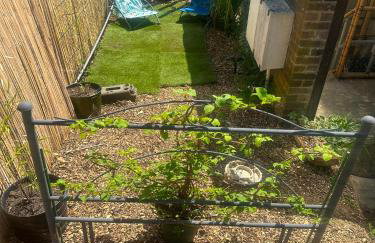 Studio Retreat with Small Garden and Own Entrance - Foto 7