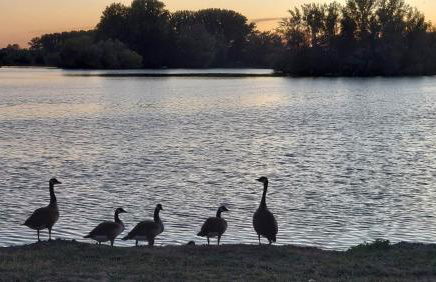 Messezimmer Laatzen APO 2 - Photo 16