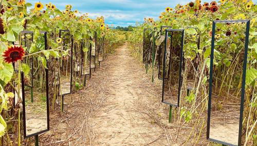 Historic Farm Cottage on 800-Acre Orchard - Foto 4