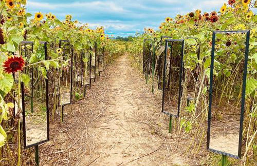 Historic Farm Cottage on 800-Acre Orchard - Foto 4