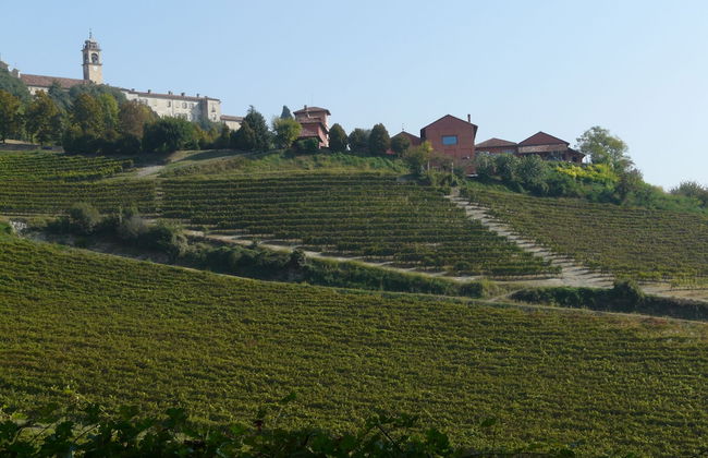 Tenuta Tenaglia - Photo 15