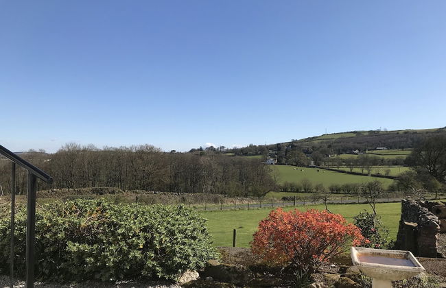 Shepherds Hut-1 Bed-hot Tub -views - Foto 13
