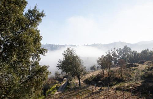 Raposa Verde - Agroturismo - Foto 37