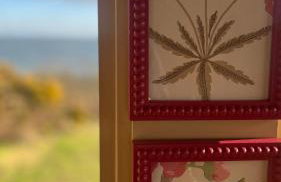 The Pink Cottage upstairs suite & Garden Summer Room - Foto 61