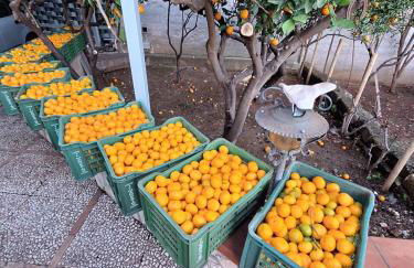 Duplex House - Foto 46