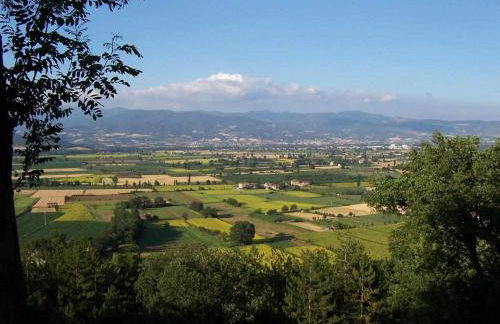 Appartamenti con cucina nelle colline toscane - Foto 44