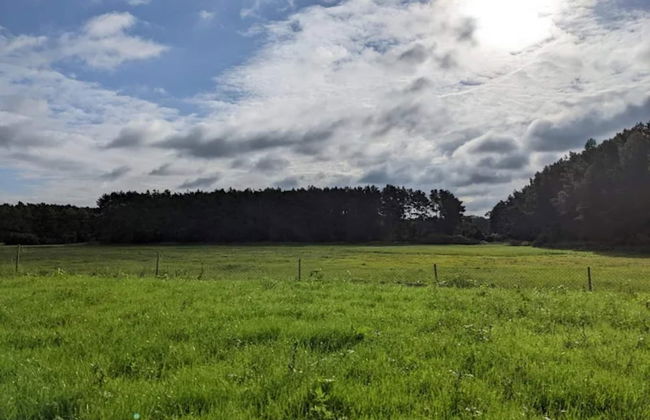 Feriendorf am Weinberg, Dobbrikow - Foto 26