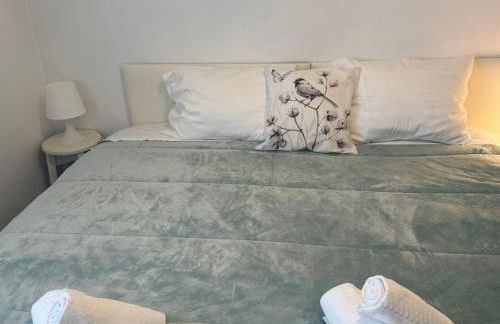 Anjú-Pardal - Foto 28