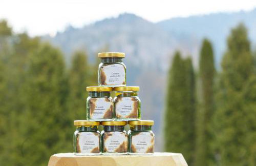 Perełka Bieszczady Domki - Photo 41