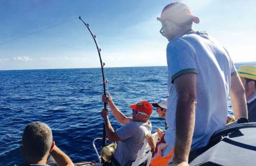 ROQUES DAURADES III - JARDIN PRIVADO - Foto 70