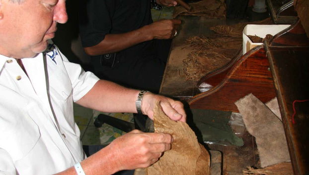 Fijándonos en cómo se enrollan los puros