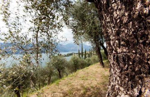 Residence le Balze - Foto 20