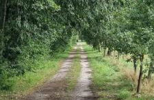 The Cottages - Pet Friendly - Photo 19