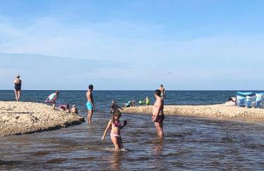 Morski Las - Foto 58